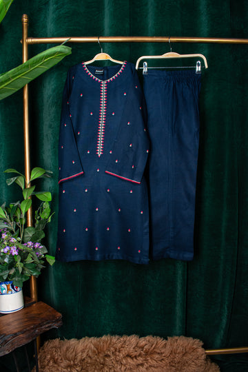 Amani | 2 Piece Embroidered Suit